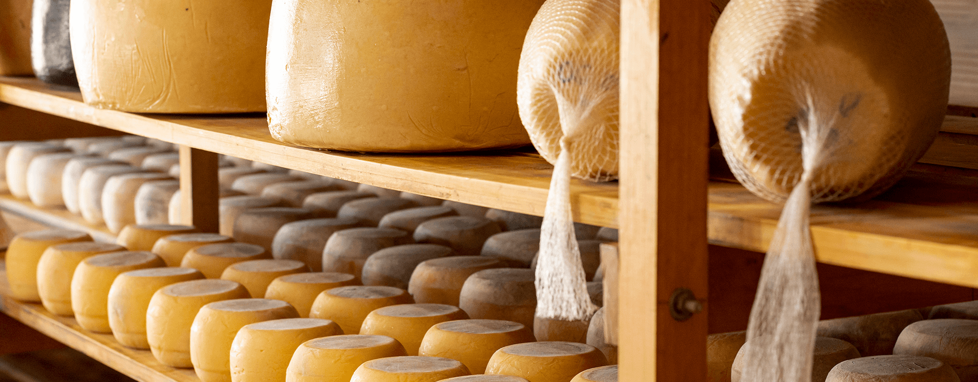 AUDITOR INTERNO EN SISTEMAS DE GESTIÓN PARA LA INOCUIDAD ALIMENTARIA BPM, HACCP, ISO 22000:2018